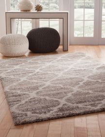 Granada Trellis Ivory/Tan/Brown Area Rug - as Pic