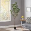71 Inch Artificial Eucalyptus Tree for Home Decor - Green - Iron+Plastic