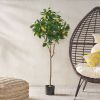 59 Inch Artificial Lemon Tree, Faux Lemon Plastic Fruit Tree for Indoor Home Decor Office Living Room - Green - Iron+Plastic