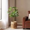 47.2 Inch Artificial Money Tree Pachira Plants - Green - POLYETHYLENE
