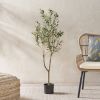 47 inch Artificial Olive Tree - Green - Iron+Plastic