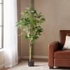 63 Inch Artificial Pachira Money Tree for Office Home Living Room Floor Patio Greening Porch Decor - Green - POLYETHYLENE