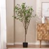 70.9 Inch Artificial Milan Leaf Bonsai,Large Plants for Home Decor and Housewarming Gift - Green - POLYETHYLENE