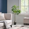 47.2 Inch Artificial Money Tree Pachira Plants - Green - POLYETHYLENE
