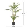 66.5 Inch Artificial Palm Tree - Green - Iron+Plastic