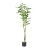 63 Inch Artificial Pachira Money Tree for Office Home Living Room Floor Patio Greening Porch Decor - Green - POLYETHYLENE