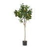59 Inch Artificial Lemon Tree, Faux Lemon Plastic Fruit Tree for Indoor Home Decor Office Living Room - Green - Iron+Plastic