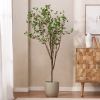 70.9 Inch Artificial Milan Leaf Bonsai,Large Plants for Home Decor and Housewarming Gift - Green - POLYETHYLENE