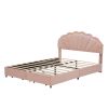 Full Size Upholstered Smart LED Bed Frame with 2 Storage Drawers and Chic Double Petal Headboard