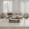 Woker Furniture 48" Wide Rectangular Coffee Table with Black Tempered Glass Top, Golden Stainless Steel Double-Layer Coffee Table for Living Room
