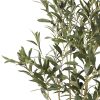 47 inch Artificial Olive Tree - Green - Iron+Plastic