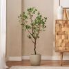 47.2 Inch Artificial Milan Leaf Bonsai - Green - Rattan
