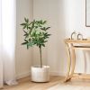 47.2 Inch Artificial Money Tree Pachira Plants - Green - POLYETHYLENE
