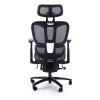 Adjustable Ergonomic Black Mesh Office Chair with Headrest and Footrest, Conference/Computer Desk Chair - as Pic