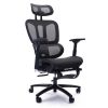 Adjustable Ergonomic Black Mesh Office Chair with Headrest and Footrest, Conference/Computer Desk Chair - as Pic
