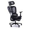 Adjustable Ergonomic Black Mesh Office Chair with Headrest and Footrest, Conference/Computer Desk Chair - as Pic