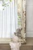 19x1.6x73.2" Oversized Full Length Floor Mirror, Vintage White Shabby Chic Wooden Frame for Leaning, Bedroom, Living Room - as Pic