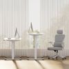 Electric Standing Desk Whole Piece Adjustable Height Desk Home Office Computer Workstation Sit Stand up Desk (White Frame + White Top) - White