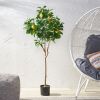 59 Inch Artificial Lemon Tree, Faux Lemon Plastic Fruit Tree for Indoor Home Decor Office Living Room - Green - Iron+Plastic