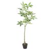 47.2 Inch Artificial Money Tree Pachira Plants - Green - POLYETHYLENE