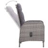 9 Piece Patio Dining Set Poly Rattan and Glass Gray - Gray