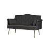 BLACK 2 SEATER SOFA - as Pic
