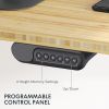 Electric Standing Desk Dual Motor 3 Stages Adjustable Height Desk Home Office Computer Workstation Sit Stand up Desk, 55 x 28 inch-Black
