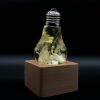 EP LIGHT Gift Set - 3-Pack LED Lights - Default Title