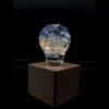 EP LIGHT Gift Set - 3-Pack LED Lights - Default Title