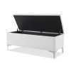 Madelyn 49" Modern Storage Bench, Bright White Dye - as Pic